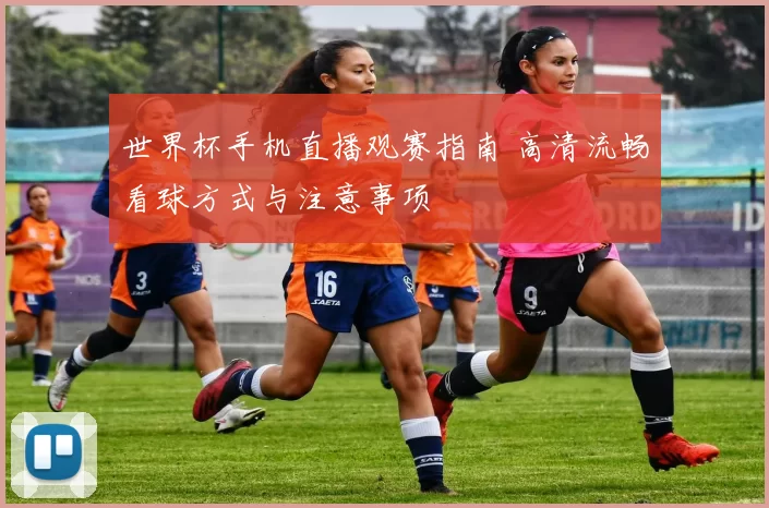 世界杯手机直播观赛指南 高清流畅看球方式与注意事项