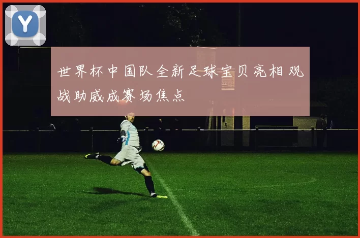 世界杯中国队全新足球宝贝亮相 观战助威成赛场焦点