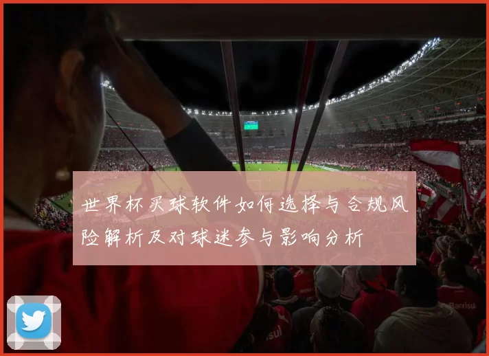 世界杯买球软件如何选择与合规风险解析及对球迷参与影响分析
