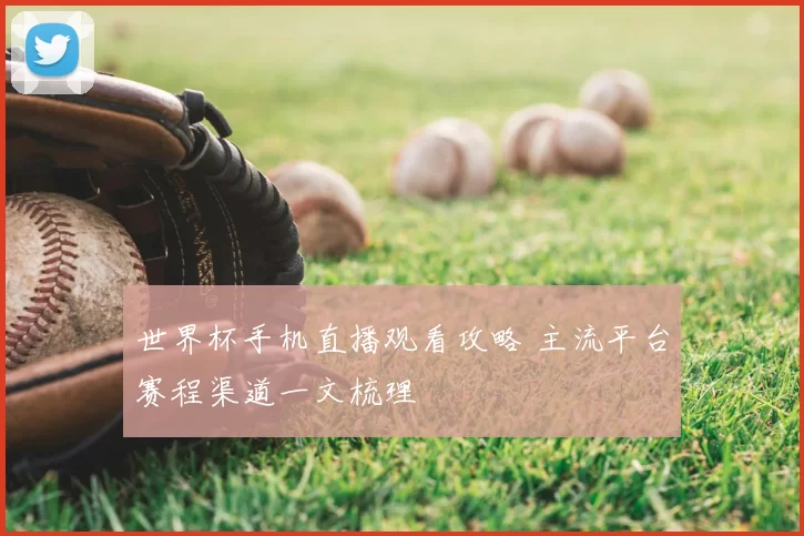 世界杯手机直播观看攻略 主流平台赛程渠道一文梳理