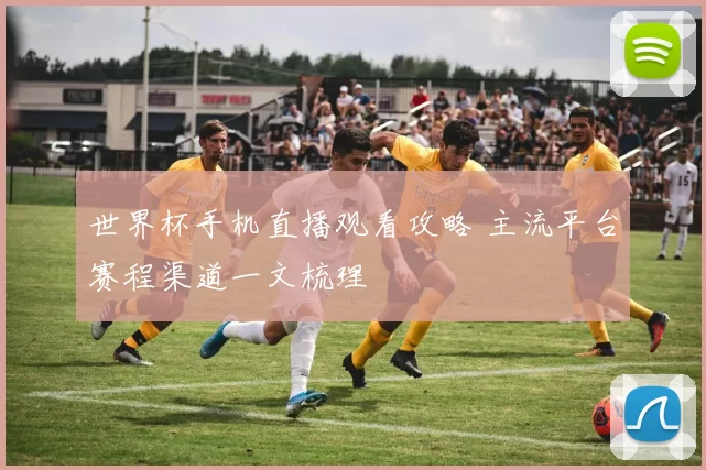 世界杯手机直播观看攻略 主流平台赛程渠道一文梳理