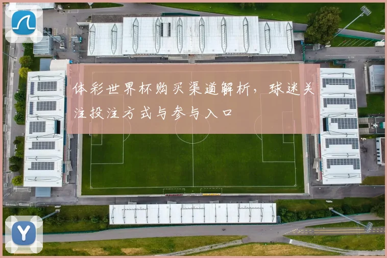 体彩世界杯购买渠道解析,球迷关注投注方式与参与入口