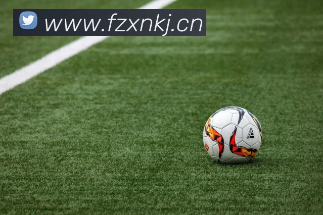 beat·365(正版) - 唯一官方网站平台生态图